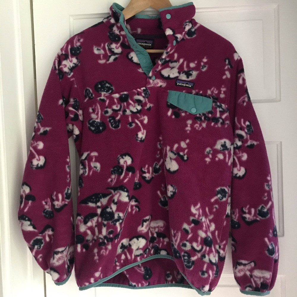 RARE Patagonia Mushroom Synchilla Fleece